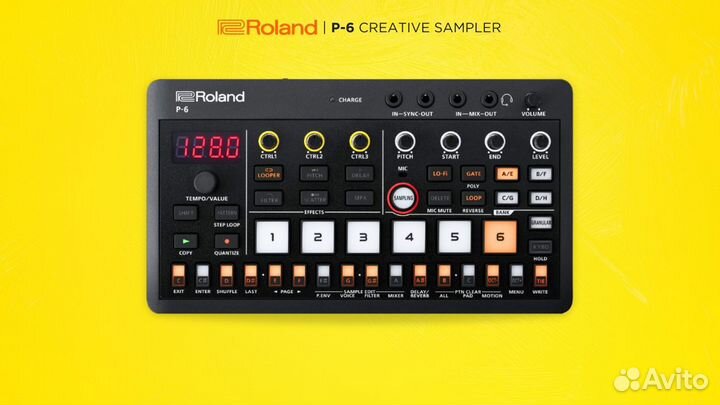 Roland P-6 Creative Sampler (Новые в наличии)