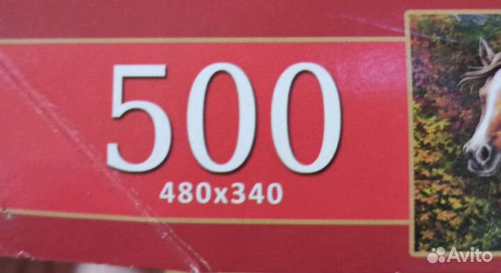 Пазл 500 Табун диких лошадей