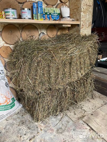 Сено в брикетах