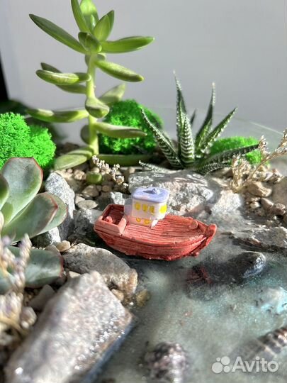 Флорариум с суккулентами