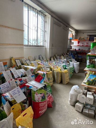 Премикс Голубь