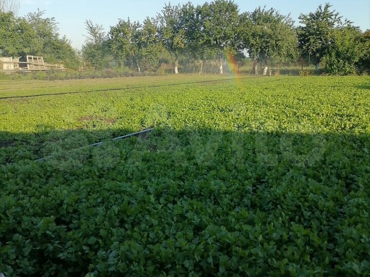 Дом 130 м² на участке 27 сот.