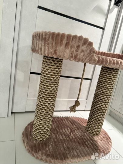 Когтеточка для кошек