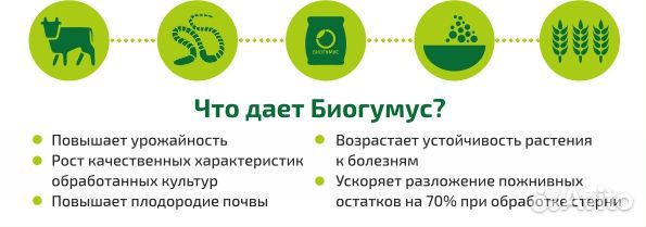 Биогумус натуральный для рассады