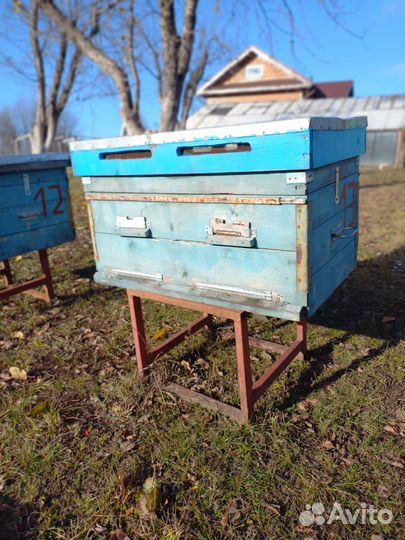 Инвентарь для пасеки пчеловодческой