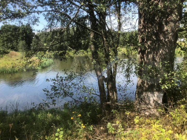 Участок 17 сот. (ИЖС)