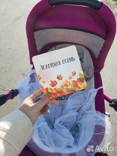 Коляска 2 в 1