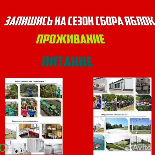 Разнорабочий вахта