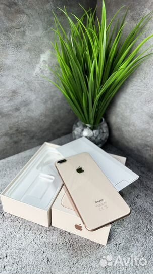 iPhone 8 Plus, 64 ГБ