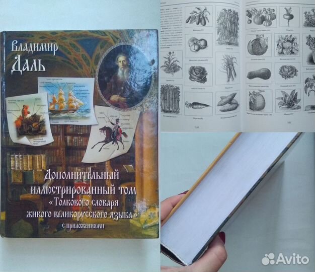 Книги - искусство, культура, текст, мода