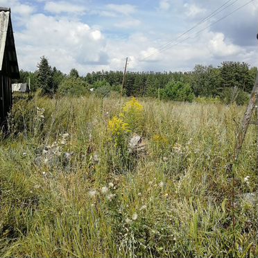 Дом 19 м² на участке 18 сот.