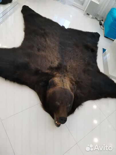 Шкура медведя имитация