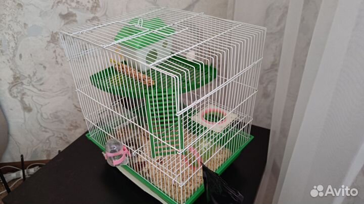 Джунгарский хомяк с клеткой