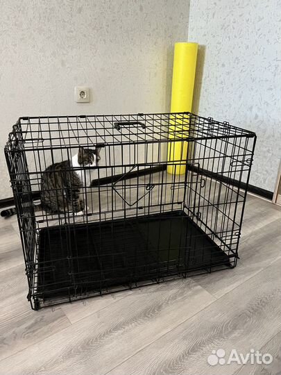 Клетка вольер для собак