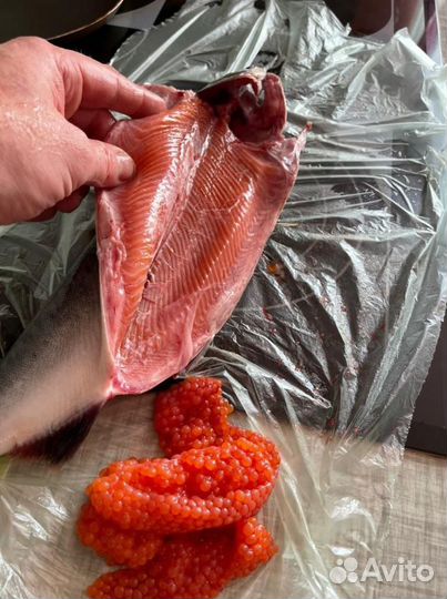 Горбуша охлаждённая икорная