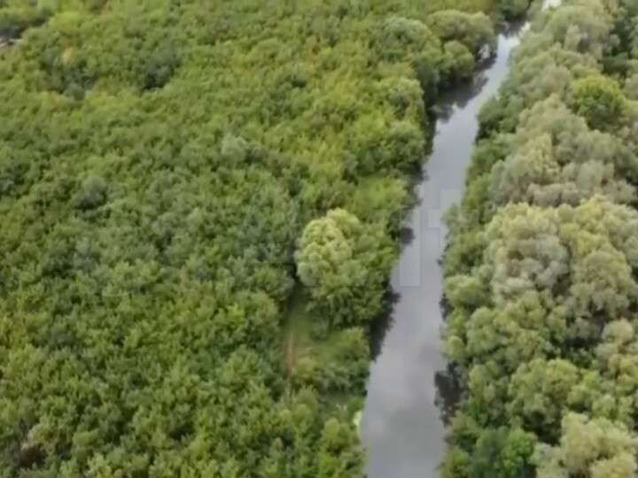 Участок 6 сот. (ИЖС)