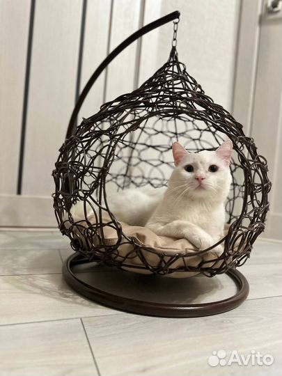 Подвесной кокон домик для кошечек и собачек