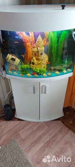 Аквариум Панорамный(непрямоуг) 105 литров с тумбой