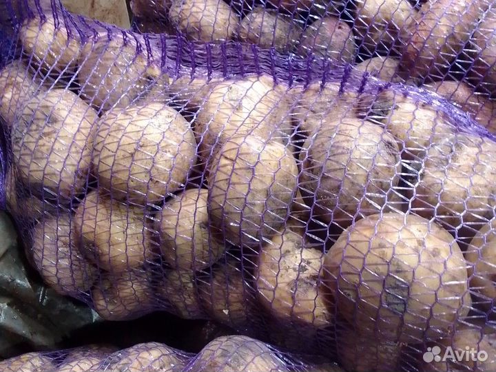 Картофель и другие овощи с доставкой