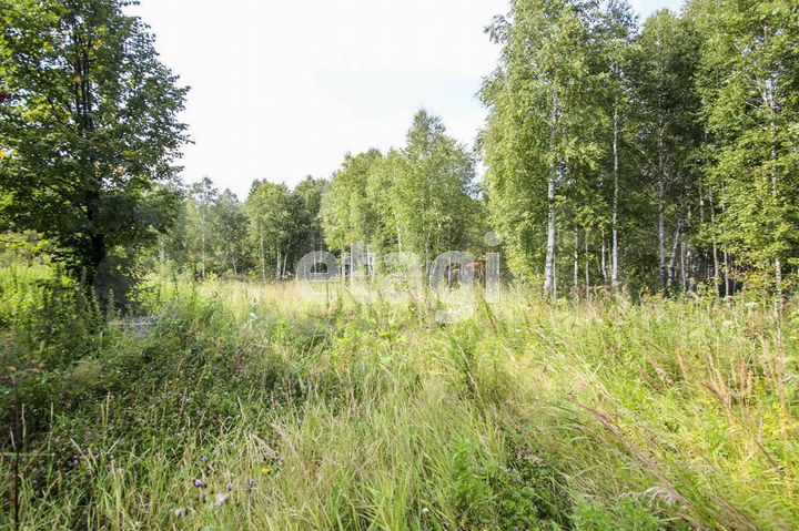 Участок 40 сот. (СНТ, ДНП)