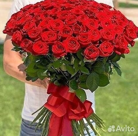 Высокие розы