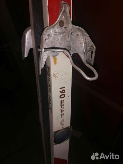 Беговые лыжи