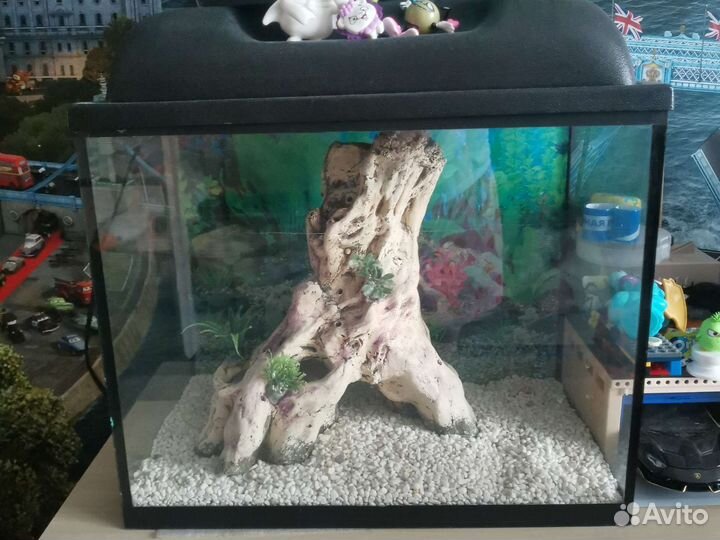 Аквариум
