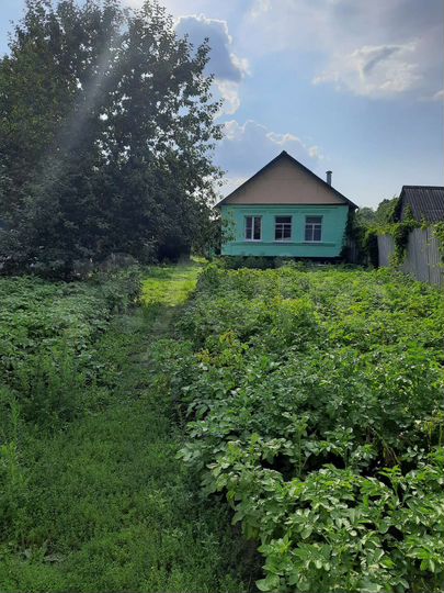 Дом 49,7 м² на участке 41 сот.