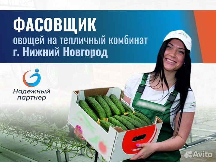 Фасовщик овощей. г. Нижний Новгород