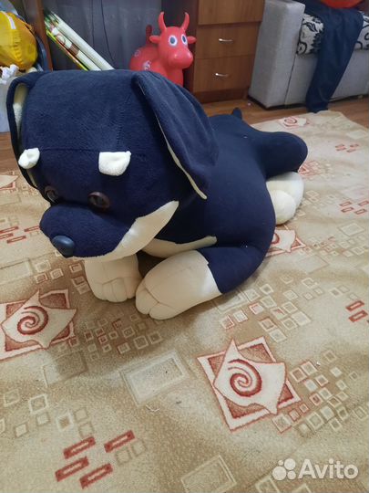 Собака