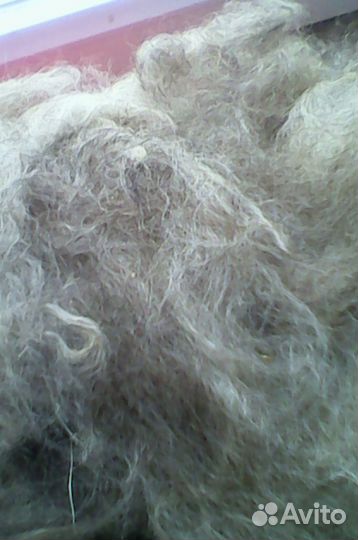 Козий пух (щипаный)