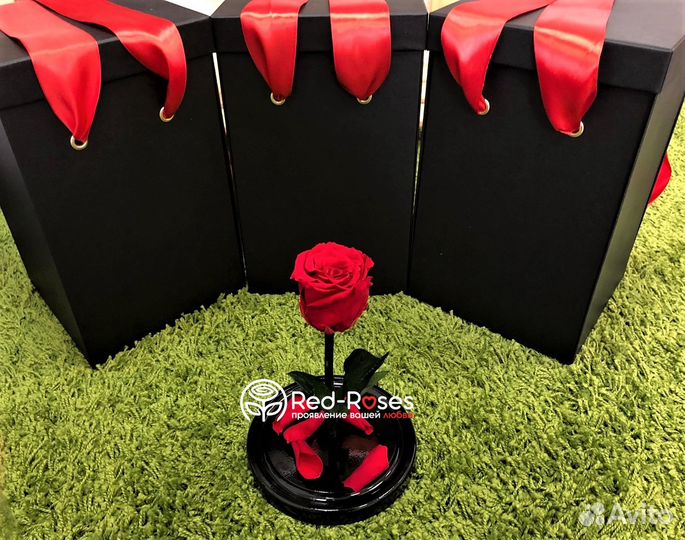 Живая роза в колбе Premium