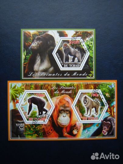 Фауна Африки