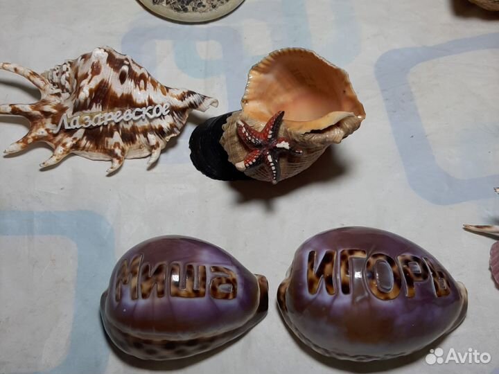 Ракушки для аквариума