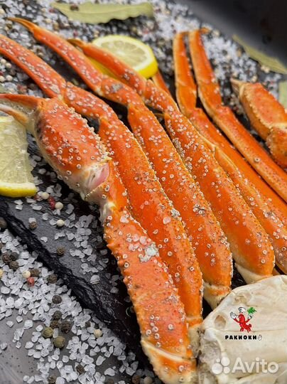 Раки вареные и живые. Свежий улов