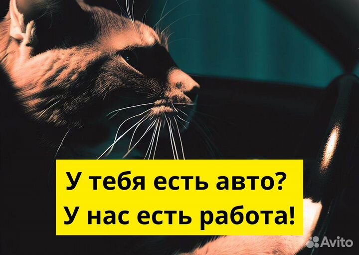 Работа с личным тс в Яндекс.Go