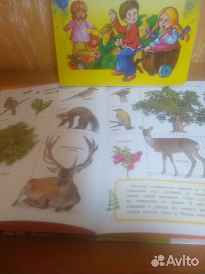 Книжки для самых маленьких стихи иживотные