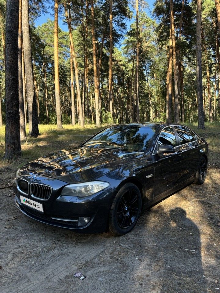 BMW 5 серия: фото владельца