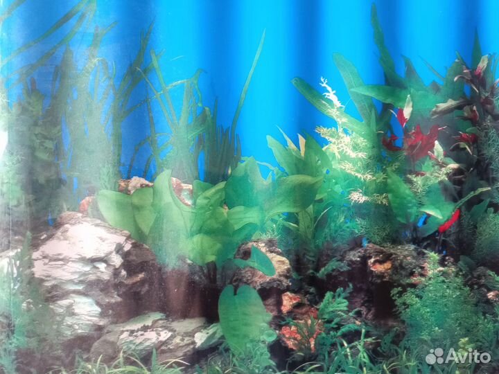 Фон (украшение) для аквариума