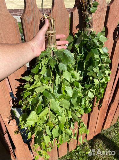 Березовые веники продам