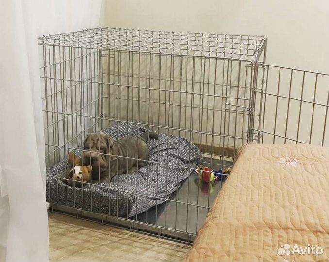 Клетка для домашнего питомца номер 3 новая