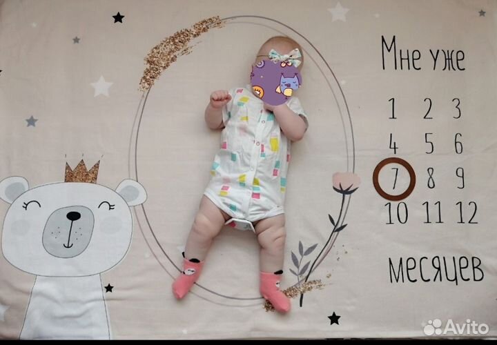 Фотоплед по месяцам