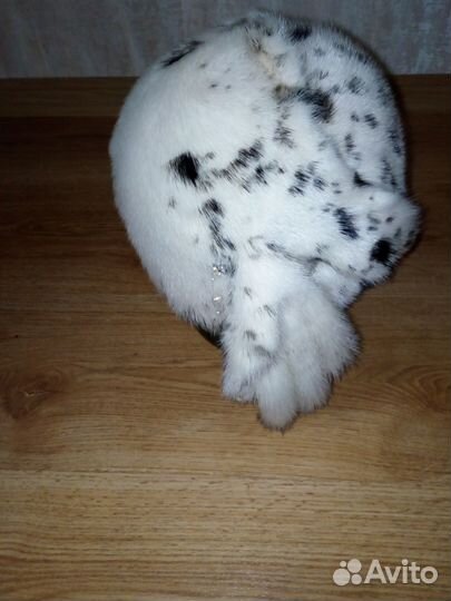 Шапка женская норковая