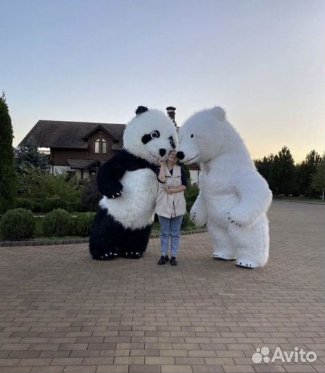 Поздравления/Аниматоры на все праздники/ Аэромишка