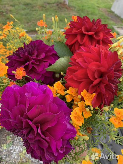 Букеты к перекличке и на 1 сентября