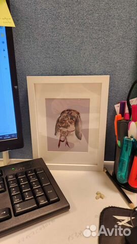 Картина с зайцем в рамке