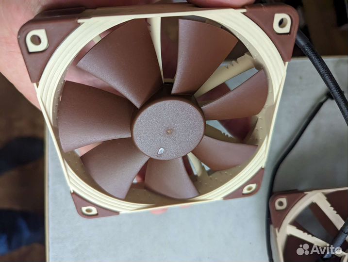 Noctua Nf12 PWM, NF12 5V