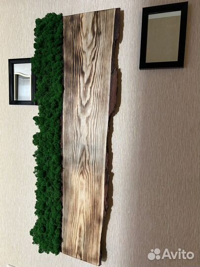 Мох, искусство, картина