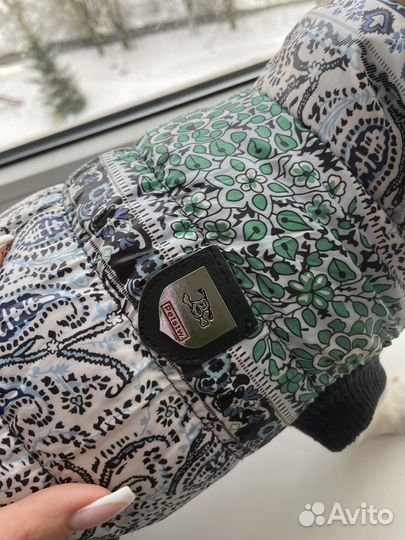 Одежда для маленьких собак