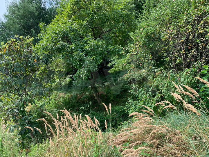 Участок 4 сот. (ИЖС)